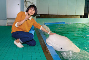 Touching Belugas