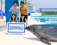 Commemorative Photo with Dolphins