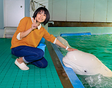 Touching Belugas