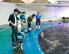 热带海岛馆交流时间