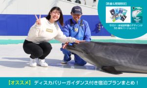 サンプル記事4