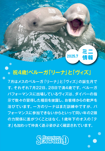 ミニ情報2025年7月