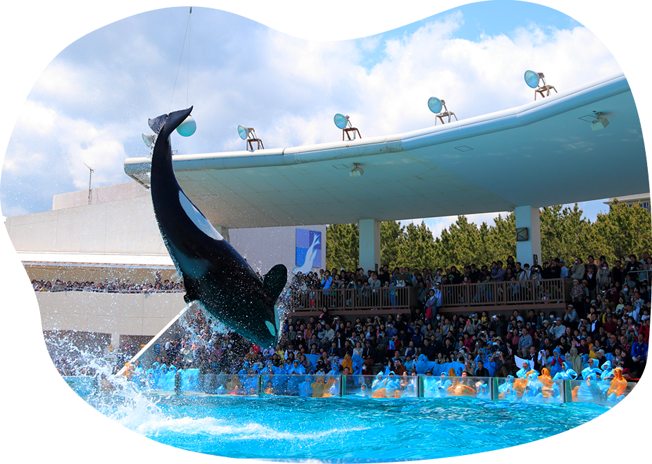 Free entry to Kamogawa Sea World!